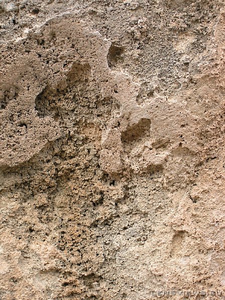 2006_11_20 15_32_02 OLYMPUS DIGITAL CAMERA         